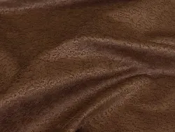 Puma (brown)